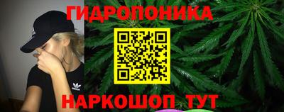 метадон Гай