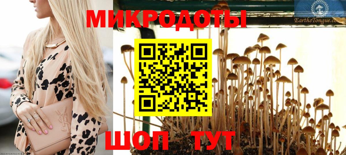 Псилоцибиновые грибы прущие грибы  Вход с VPN  где продают   Тула 