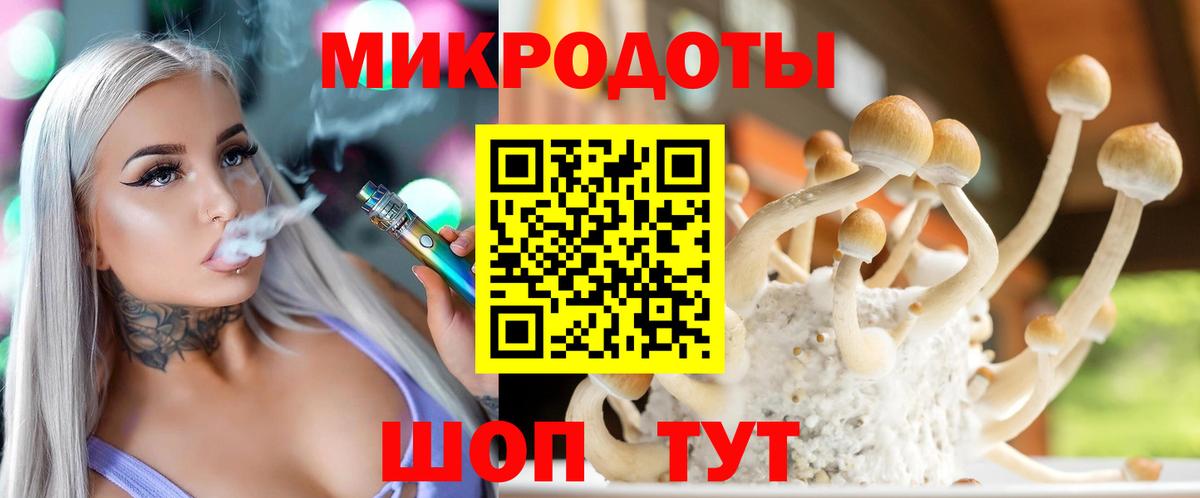 Галлюциногенные грибы Cubensis Тула